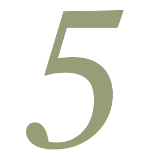 Número 5