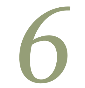 Número 6