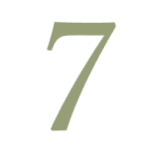 Número 7